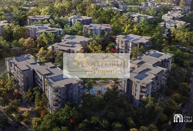 157370935 - Property Image 2