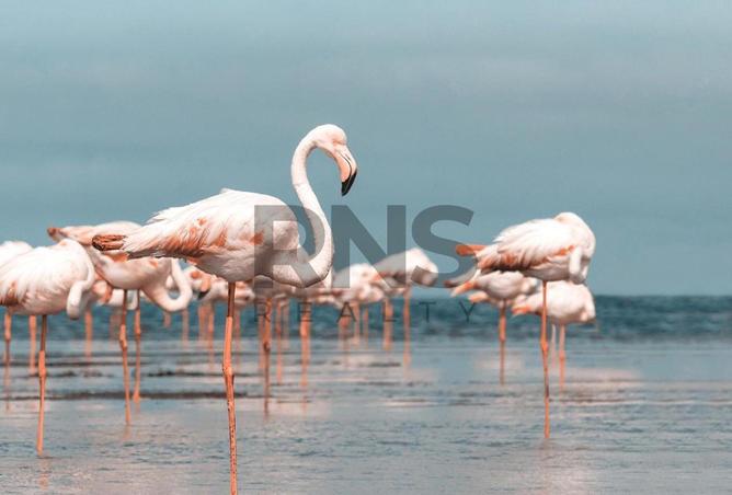 2OiUosdtluy - صورة العقار 3