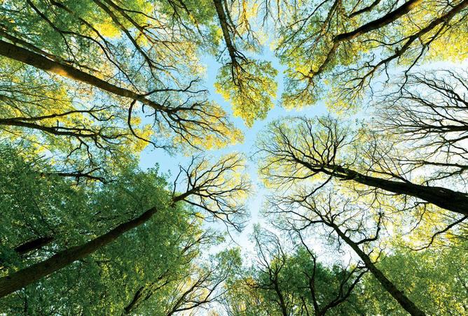 73113846 - الصورة الرئيسية للعقار