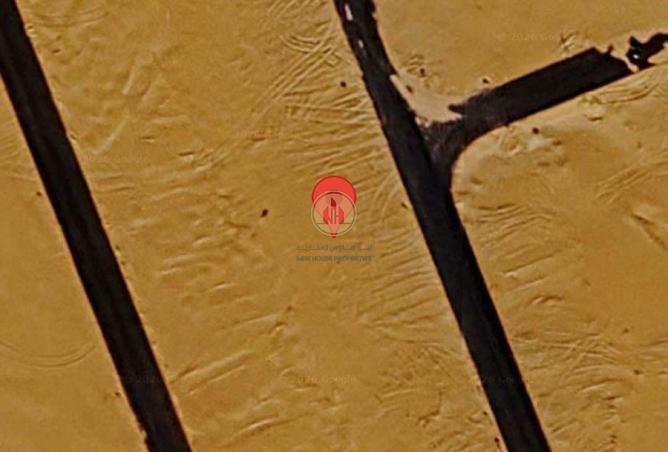 65586780 - Property Image 2