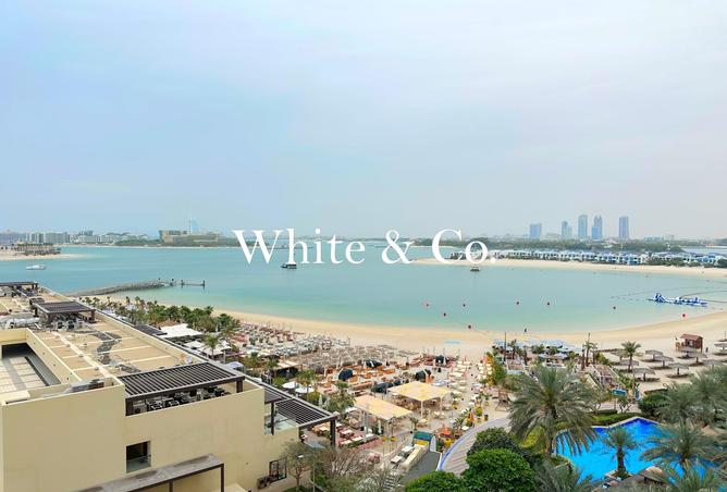 16319109 - Property Image 3