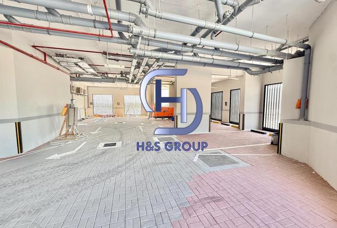 16231432 - Property Image 3