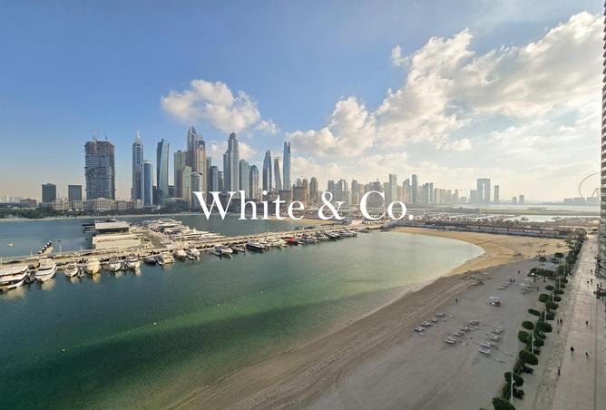 54934916 - Property Image 3