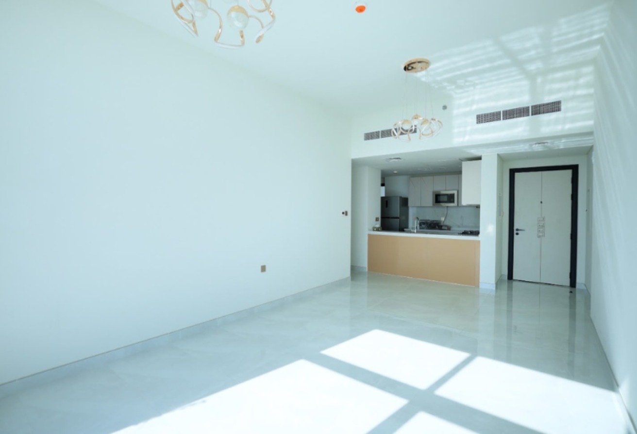 Amazing view  I Huge Size  I Kitchen Equipped