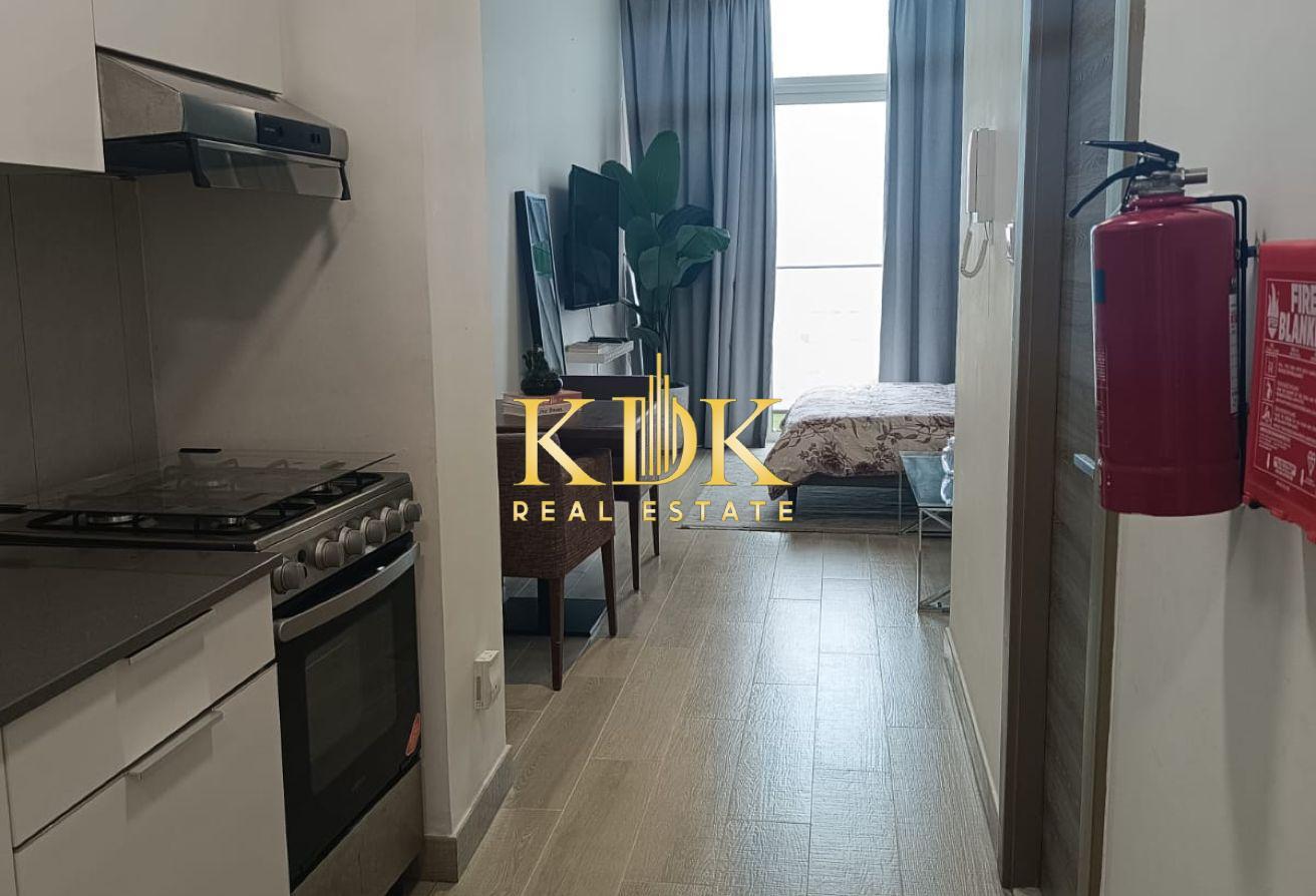 Furnished Studio | Best Offer | High Flor photo 8