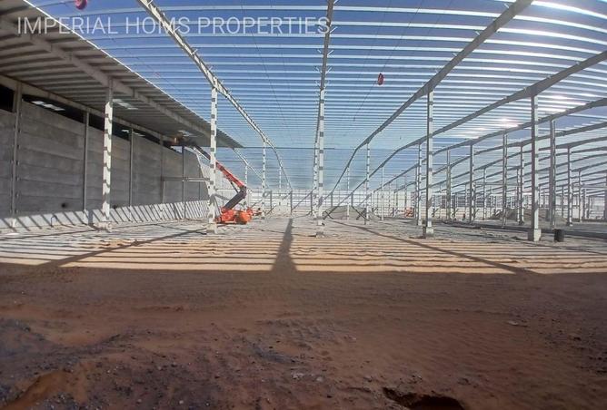 58174590 - صورة العقار 3