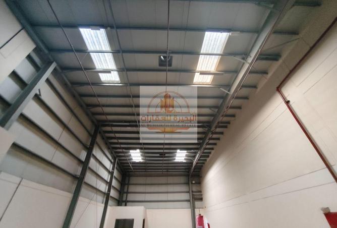 15953686 - صورة العقار 2