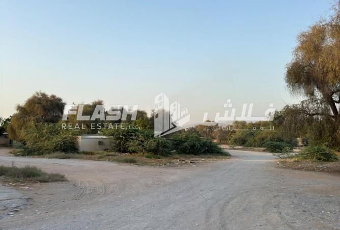 138326486 - Property Image 3