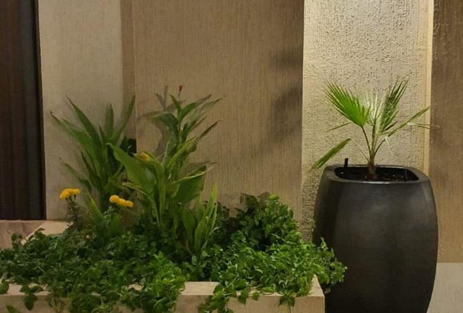 68660977 - صورة العقار 3