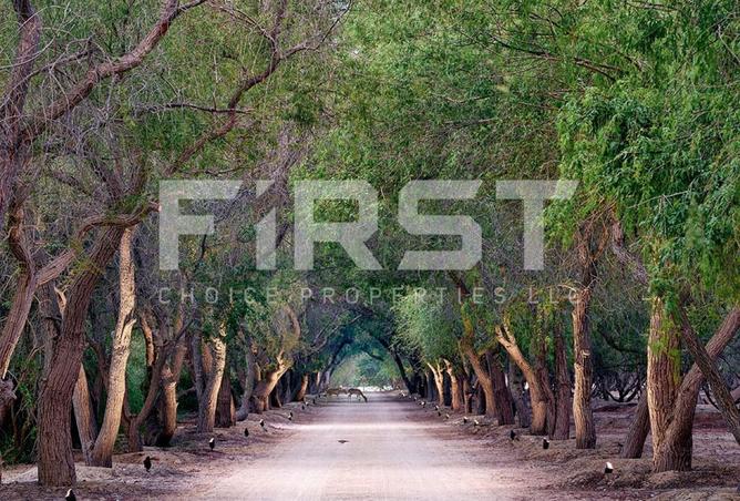 16124012 - صورة العقار 3