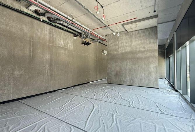 16300496 - Property Image 3