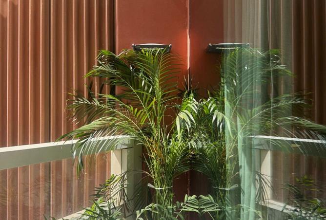 56532974 - صورة العقار 3