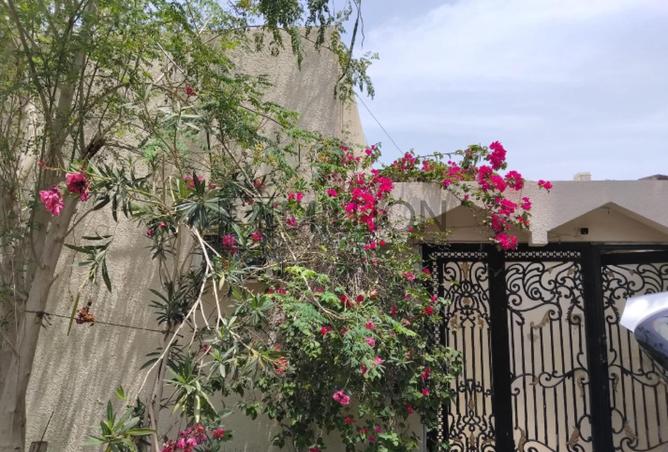 81944374 - صورة العقار 2