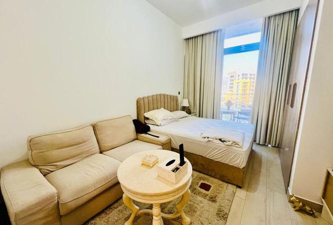 16063757 - Property Image 3