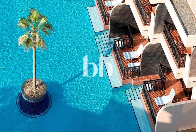 16236135 - Property Image 3