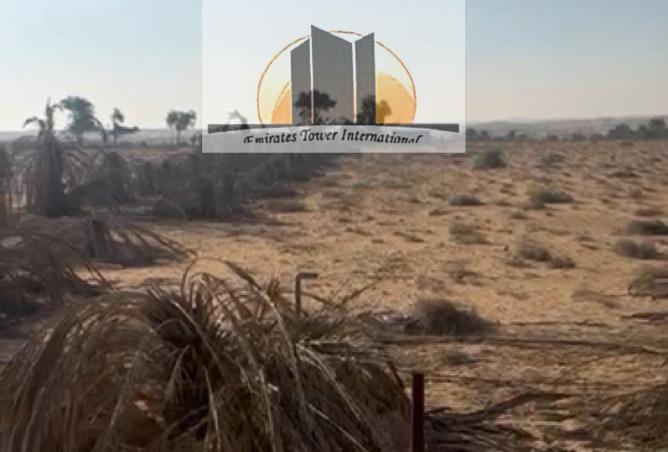 16318139 - Property Image 3