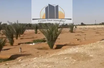 مزرعة - استوديو للبيع في برج العين - شارع حمدان - أبوظبي