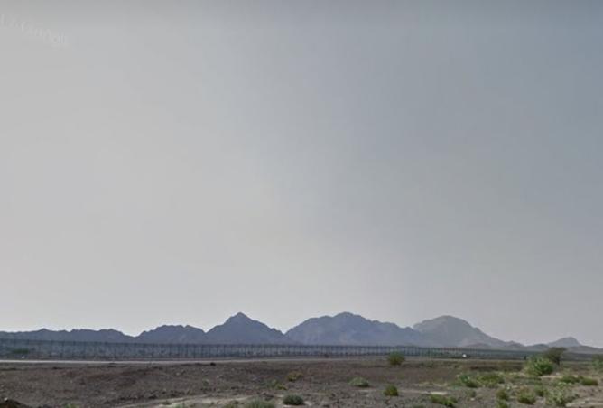 136102779 - صورة العقار 3