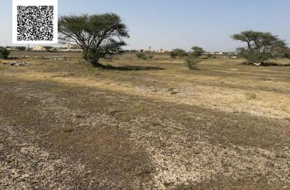أرض - استوديو للبيع في المنامة - عجمان