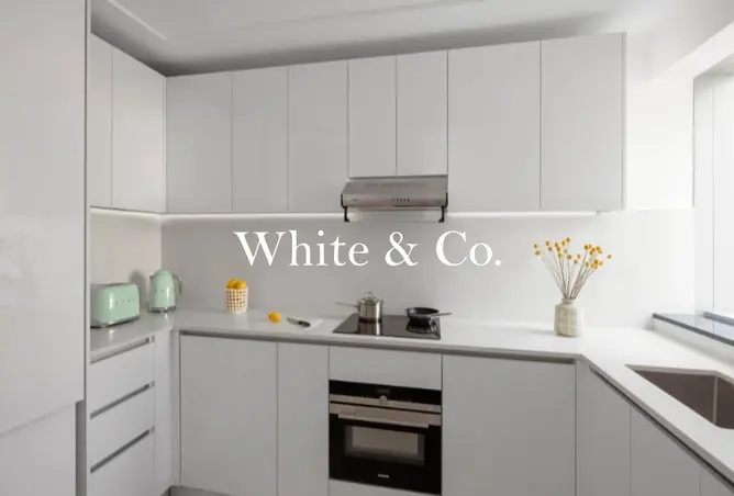 135150323 - Property Image 3