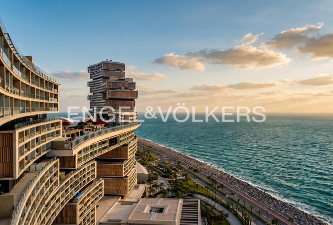 117272184 - Property Image 2