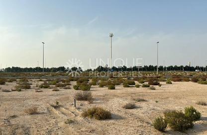 Land - Studio for sale in Jebel Ali Hills - Saih Shuaib 1 - Jebel Ali - Dubai Land - Studio for sale in Jebel Ali Hills - Saih Shuaib 1 - Jebel Ali - Dubai