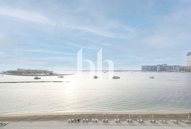 16318418 - Property Image 2