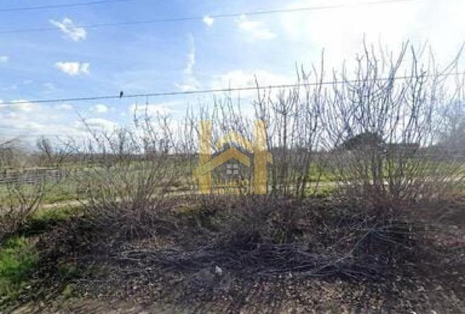 144189268 - Property Image 2