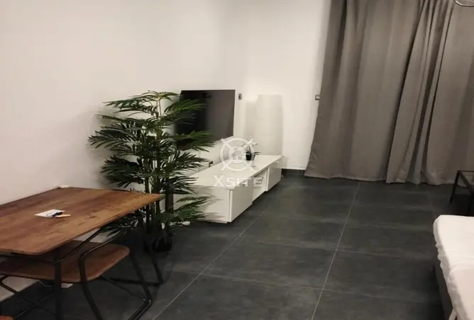 146901655 - Property Image 3