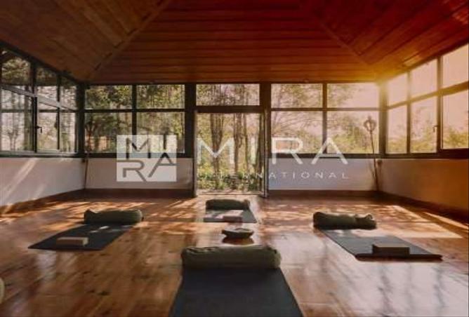 65166445 - صورة العقار 2