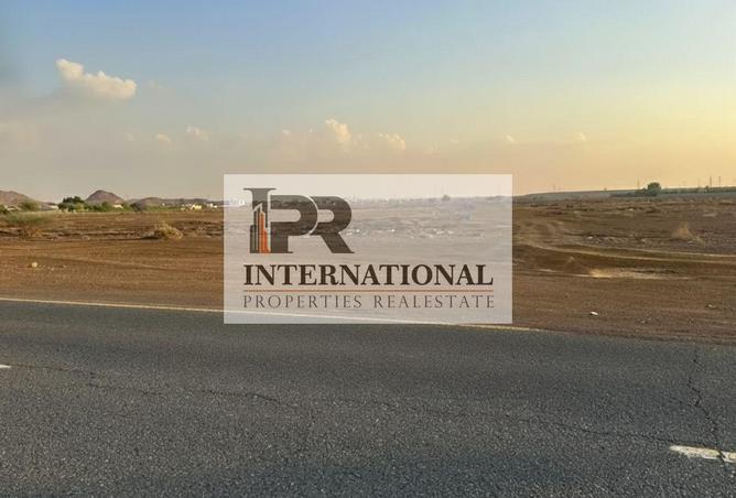 16037618 - Property Image 2