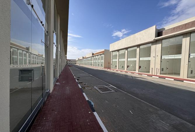 140569343 - Property Image 3