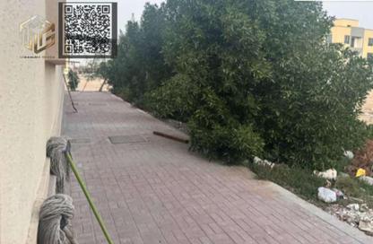 Whole Building - Studio - 7+ Bathrooms for sale in Al Jurf - Ajman Downtown - Ajman Whole Building - Studio - 7+ Bathrooms for sale in Al Jurf - Ajman Downtown - Ajman