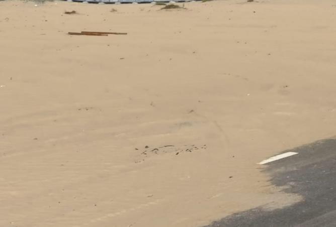 15961805 - Property Image 3