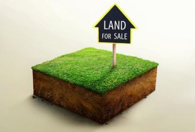 134301783 - Property Image 3