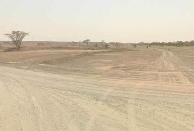 55344863 - صورة العقار 2