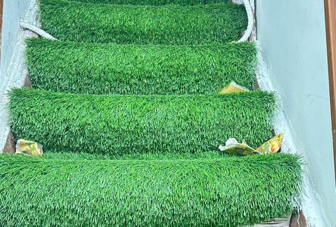 56972526 - Property Image 3