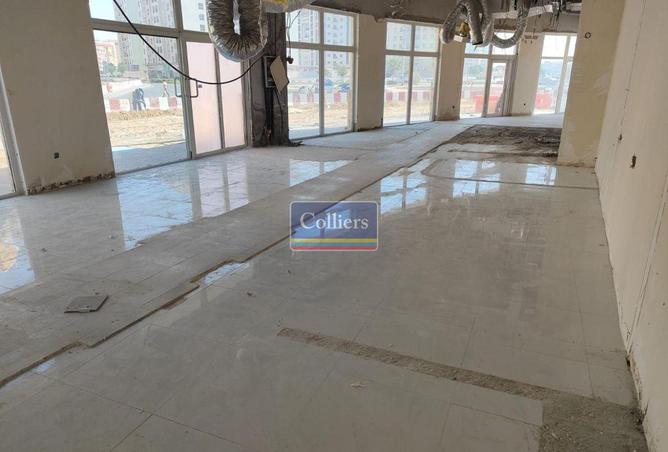 56959984 - Property Image 3