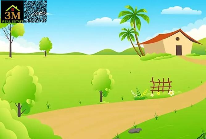 64043049 - Property Image 3