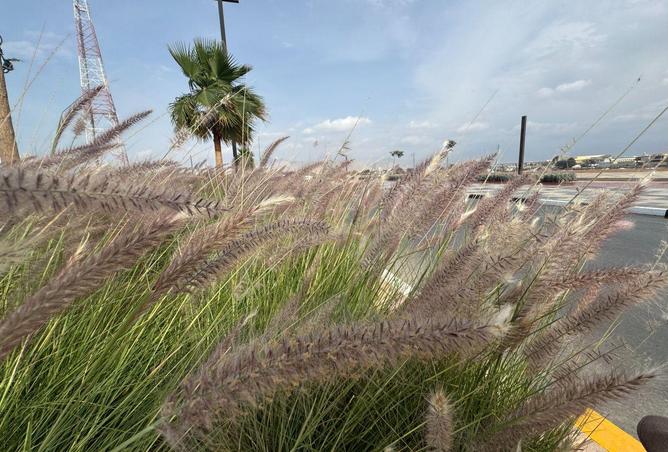 76963411 - صورة العقار 2