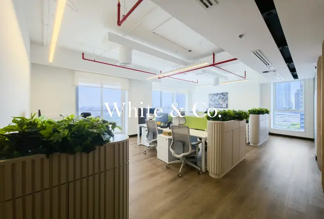 159141511 - Property Image 2