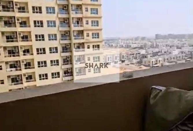 16216885 - Property Image 3