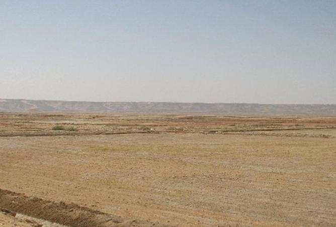 56533930 - صورة العقار 2