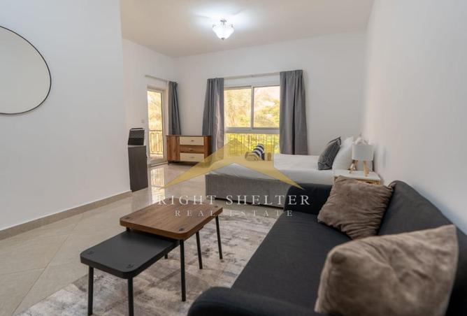 16224177 - Property Image 2