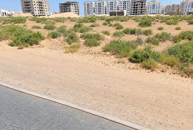 142386580 - Property Image 2