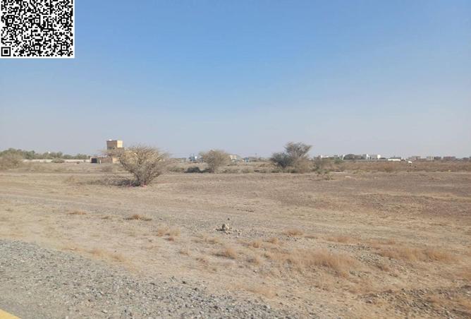 90055091 - صورة العقار 3