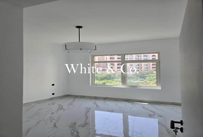 135602950 - Property Image 3
