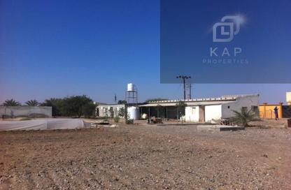 Farm - Studio for rent in Khatt - Ras Al Khaimah