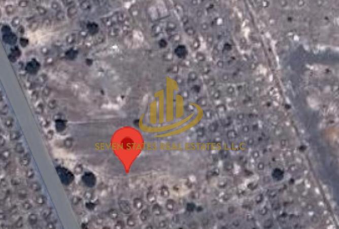 16254417 - Property Image 3