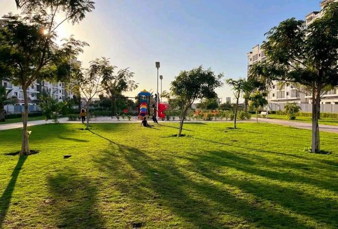 16006835 - صورة العقار 2